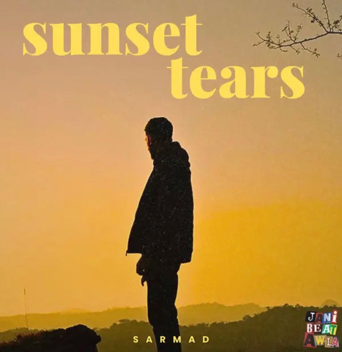 Sarmad Zeeshan Sunset tears